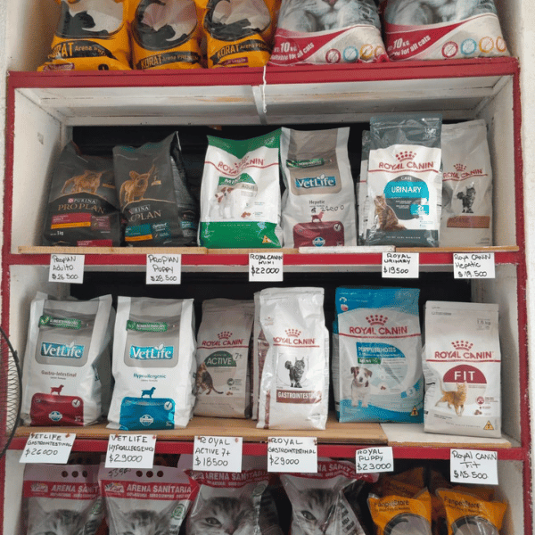 Dorotea Pets