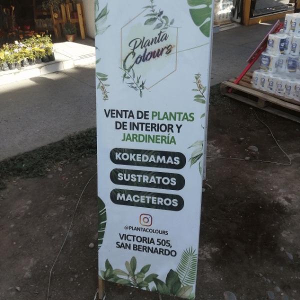 Planta Colours