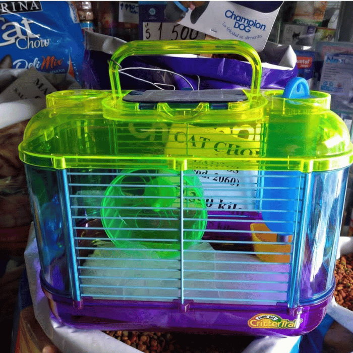 PET SAN BERNARDO